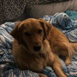 Meet your Posher, Julia